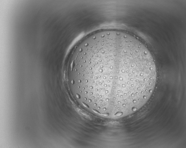 X0000080131462200612302023