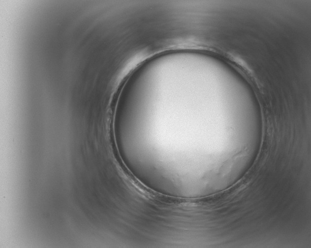 X0000080131463200612302023