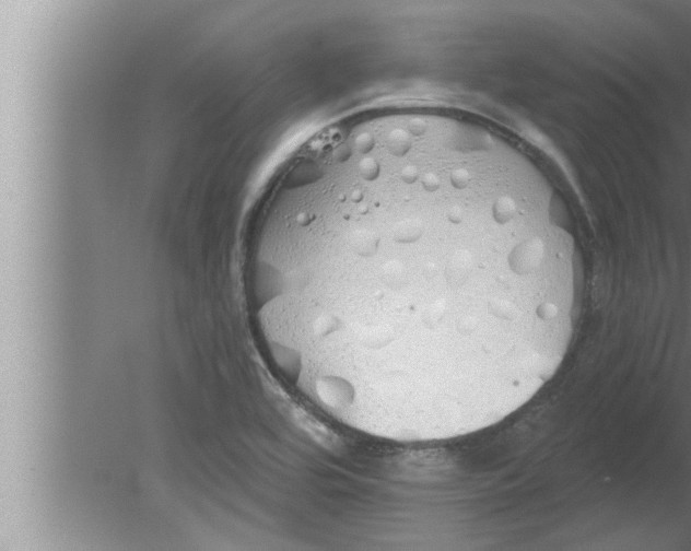 X0000080131464200612302023