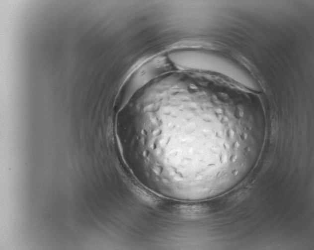 X0000080131465200612302023