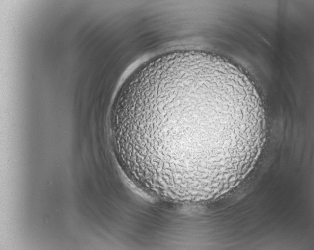 X0000080131466200612302023