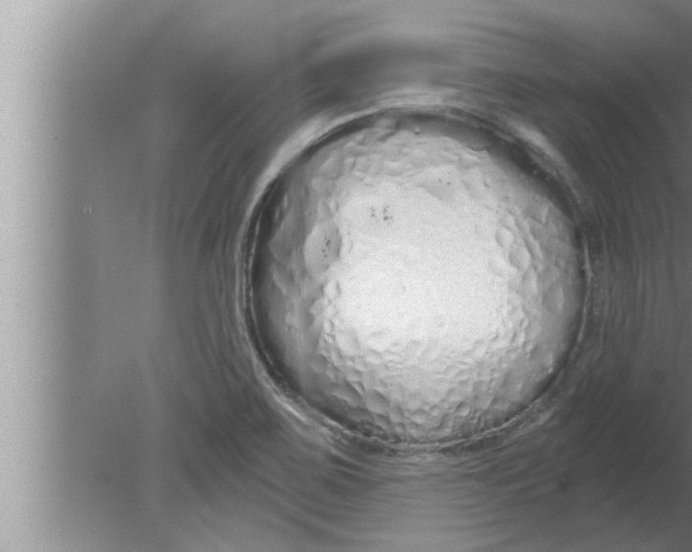 X0000080131467200612302023