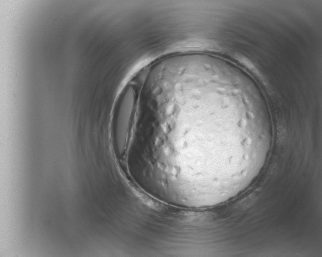 X0000080131469200612302023