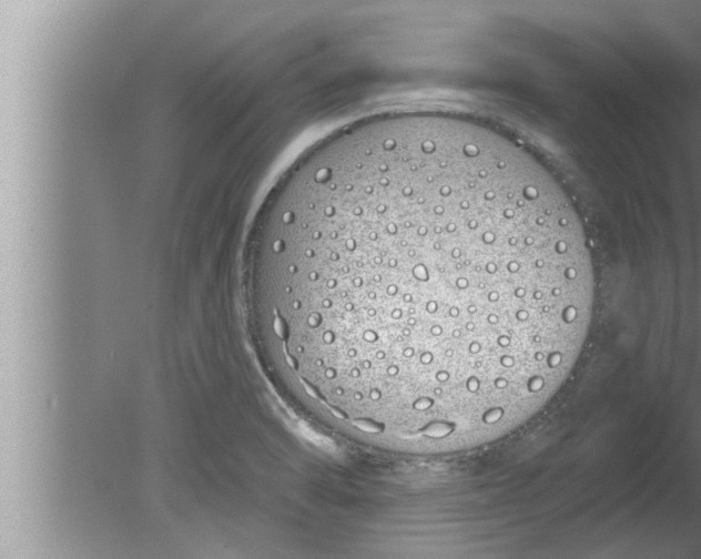 X0000080131470200612302023