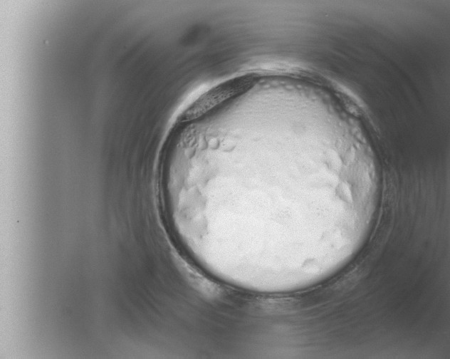 X0000080131471200612302023