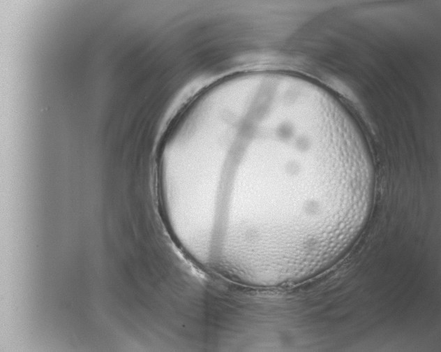 X0000080131472200612302023