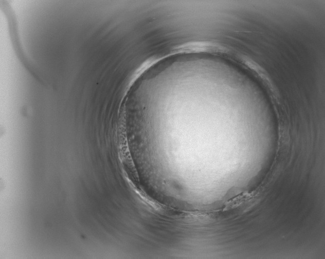 X0000080131473200612302023