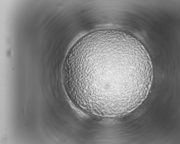 X0000080131474200612302023