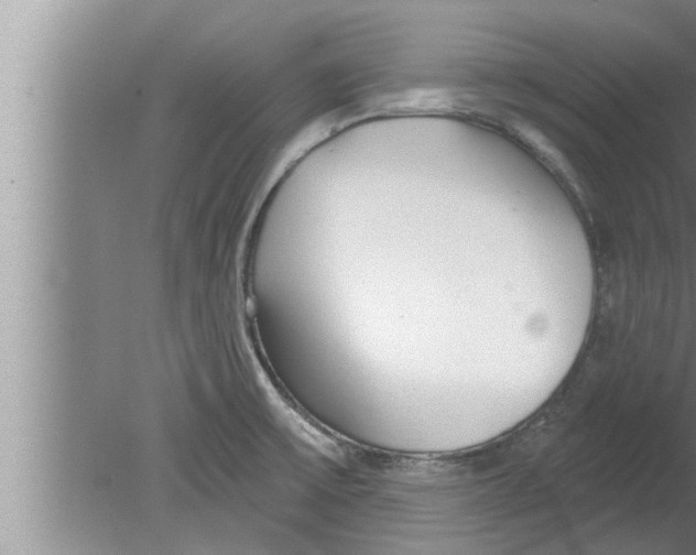 X0000080131475200612302023