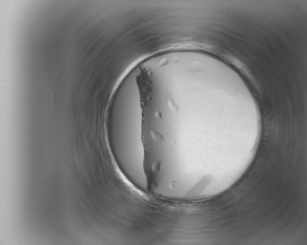 X0000080131476200612302023