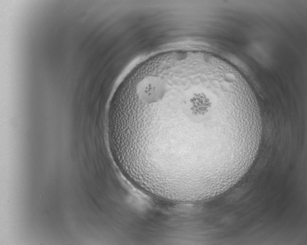 X0000080131478200612302023