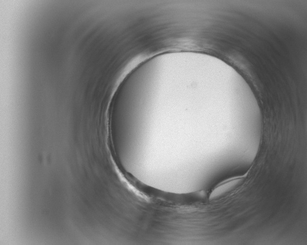 X0000080131479200612302023