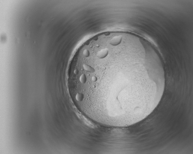 X0000080131480200612302023