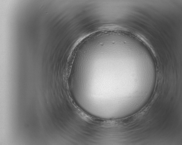 X0000080131481200612302023