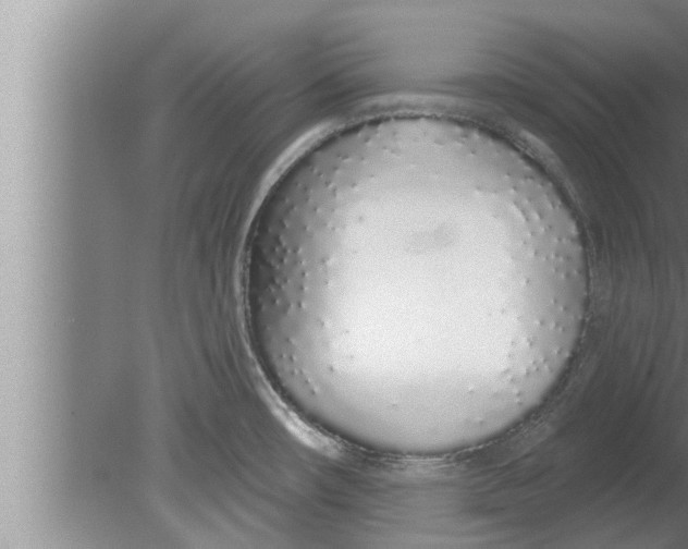 X0000080131482200612302023