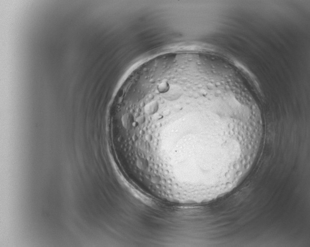 X0000080131483200612302023