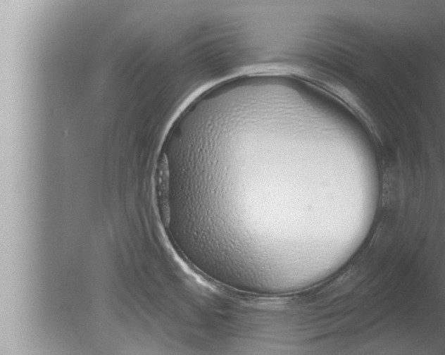 X0000080131484200612302023