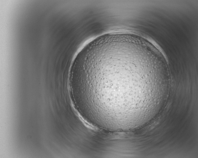 X0000080131485200612302023