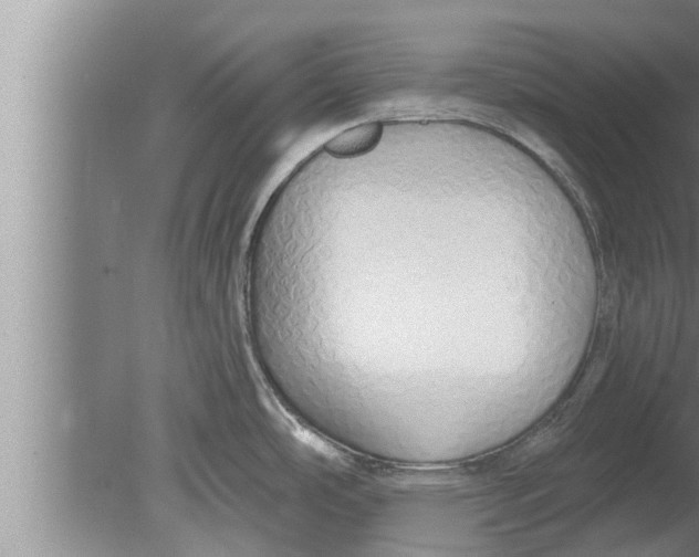 X0000080131486200612302023