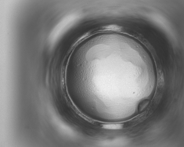 X0000080131487200612302023