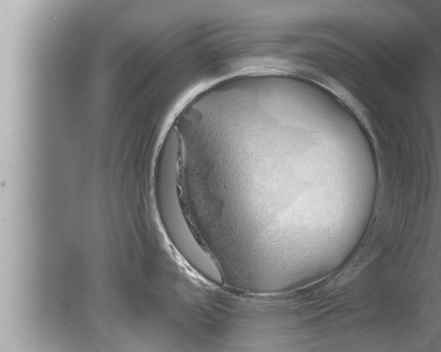 X0000080131488200612302023