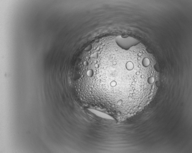 X0000080131490200612302022