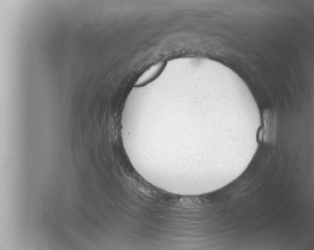 X0000080131491200612302022