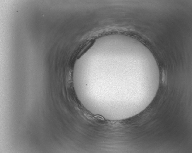 X0000080131492200612302022