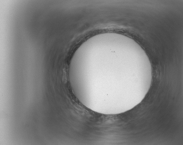 X0000080131493200612302022