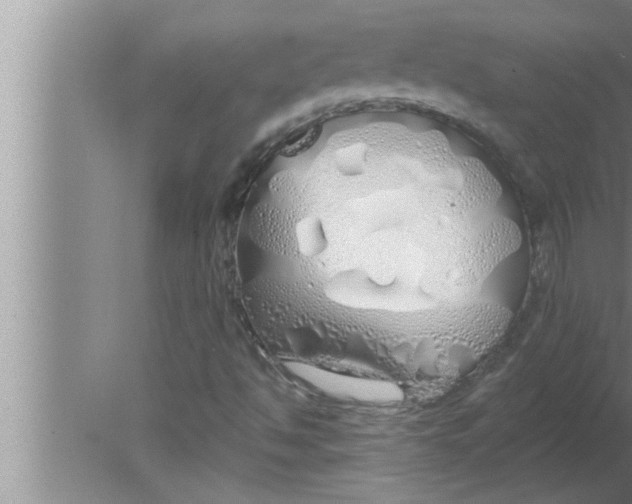 X0000080131494200612302022