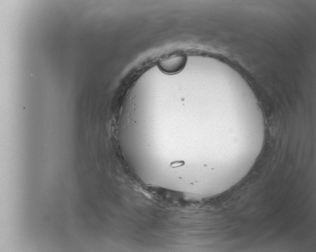 X0000080131495200612302022