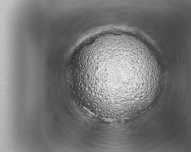 X0000080131496200612302022