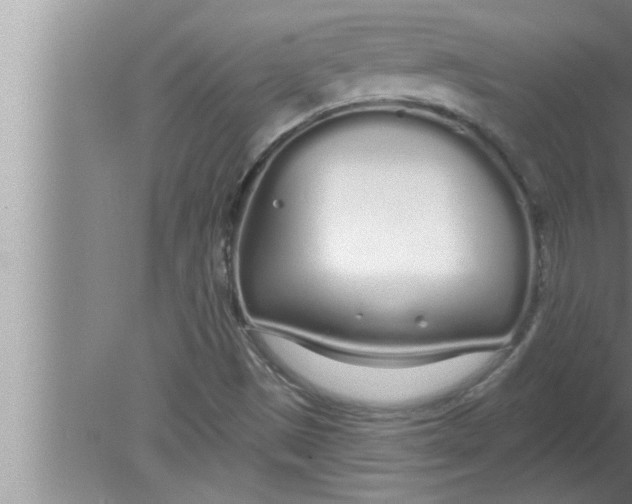 X0000080131497200612302022