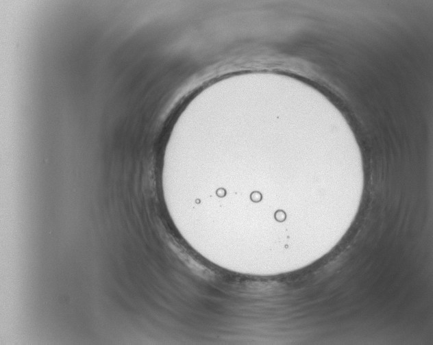 X0000080131498200612302022