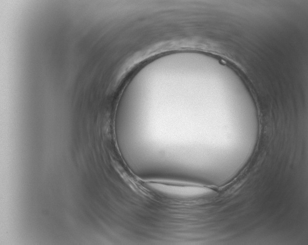 X0000080131499200612302022