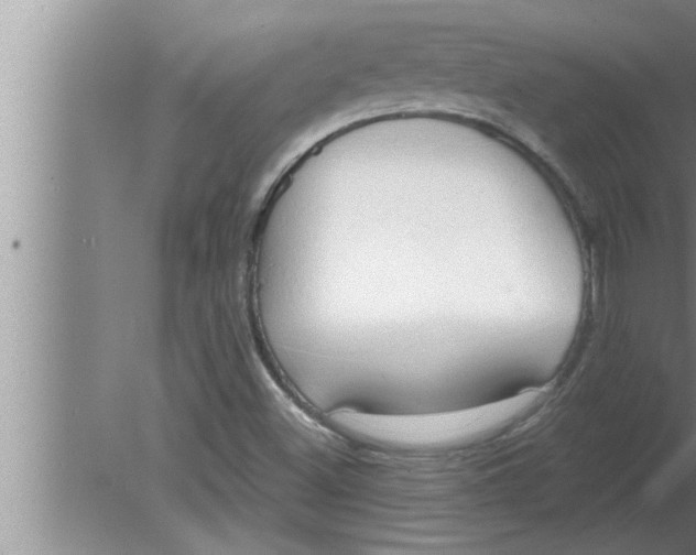 X0000080131500200612302022