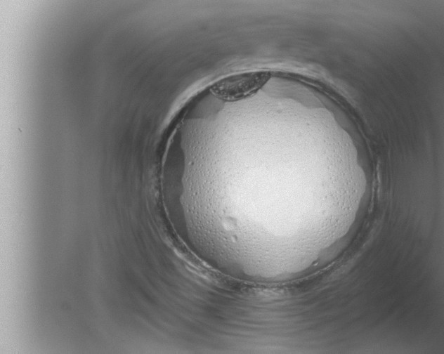 X0000080131501200612302022