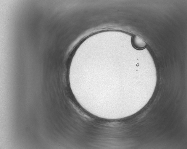 X0000080131502200612302022