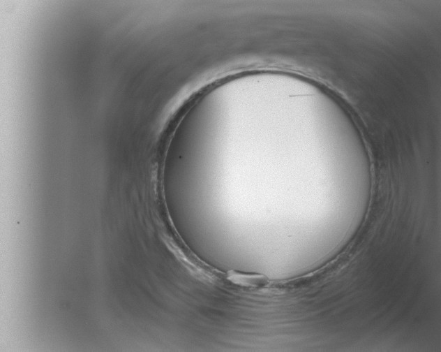 X0000080131503200612302022