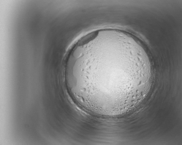 X0000080131504200612302022