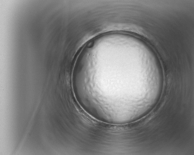 X0000080131505200612302022