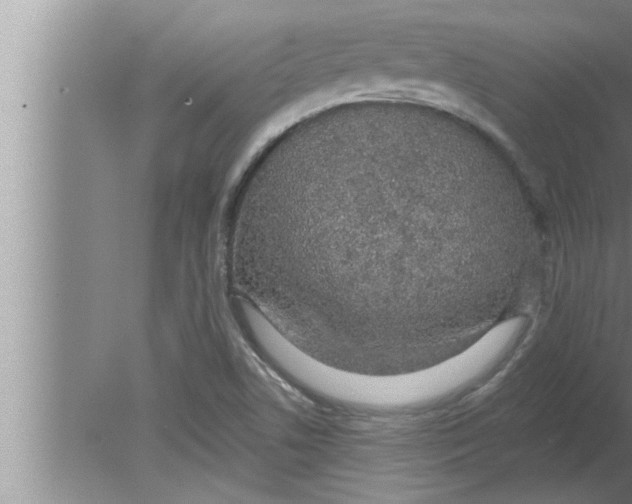 X0000080131506200612302022