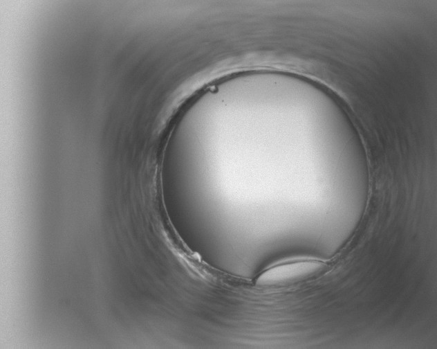 X0000080131507200612302022