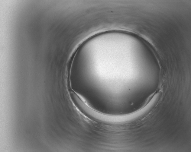 X0000080131508200612302022