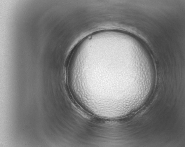 X0000080131509200612302022