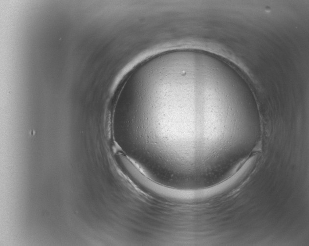 X0000080131510200612302022