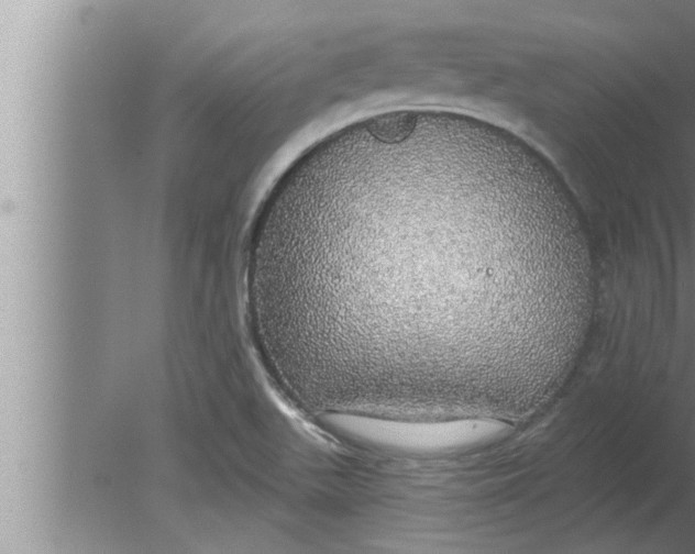 X0000080131511200612302023