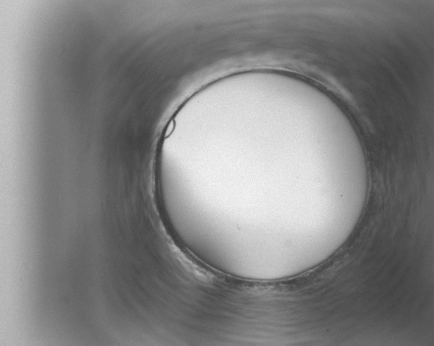 X0000080131512200612302023