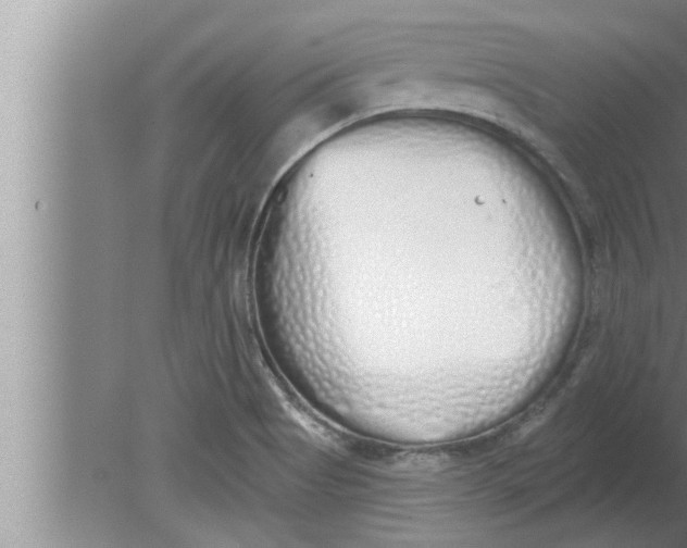 X0000080131513200612302023