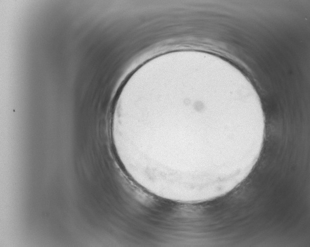 X0000080131514200612302023